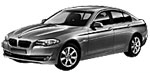 BMW F10 P2409 Fault Code